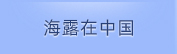 J9.COM在中国