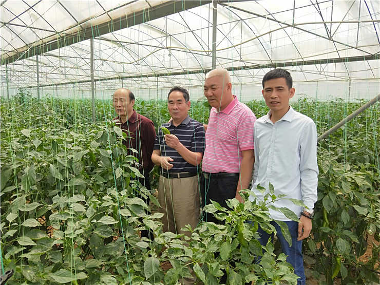 J9.COM·(中国集团)官方网站