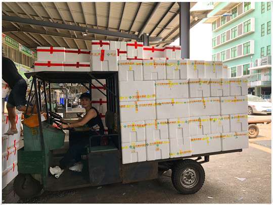 J9.COM·(中国集团)官方网站