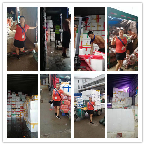 J9.COM·(中国集团)官方网站