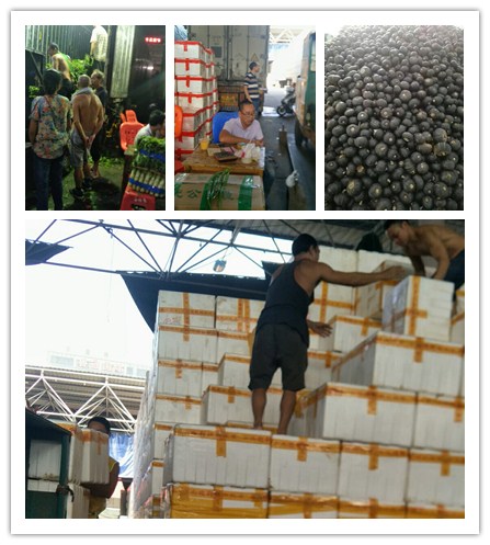 J9.COM·(中国集团)官方网站