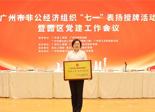 标杆引领，荣誉升级！集团党支部荣膺广州市非公有造经济组织“双强六好”标